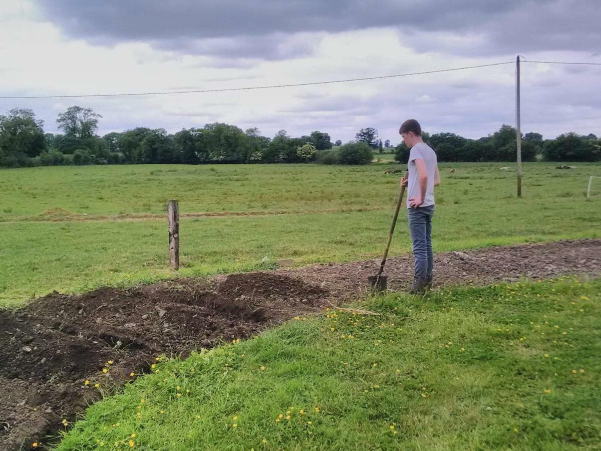 Hotel Castletownmoor Clinic & Permaculture Farm Kells  Exterior foto